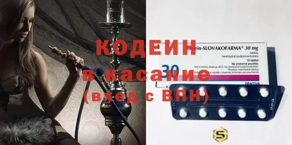 хмурый Абаза
